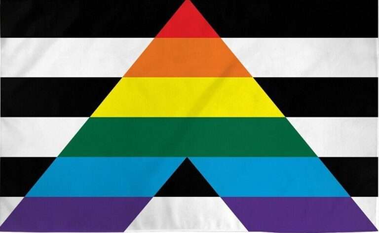 Understanding the LGBTQ Ally Flag: What It Means and How to Show Your ...